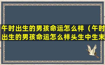 午时出生的男孩命运怎么样（午时出生的男孩命运怎么样头生中生末生又是什么意思）