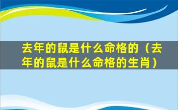 去年的鼠是什么命格的（去年的鼠是什么命格的生肖）