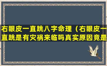 右眼皮一直跳八字命理（右眼皮一直跳是有灾祸来临吗真实原因竟是这样!）