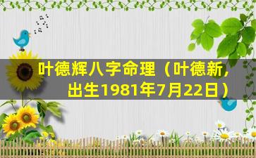 叶德辉八字命理（叶德新,出生1981年7月22日）