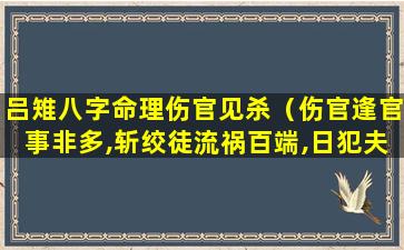 吕雉八字命理伤官见杀（伤官逢官事非多,斩绞徒流祸百端,日犯夫妻中途缺）