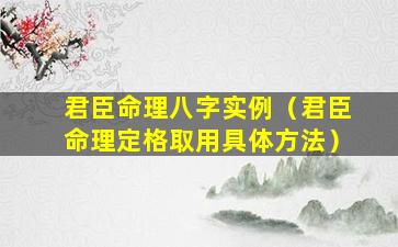 君臣命理八字实例（君臣命理定格取用具体方法）