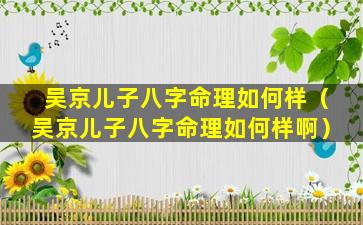 吴京儿子八字命理如何样（吴京儿子八字命理如何样啊）