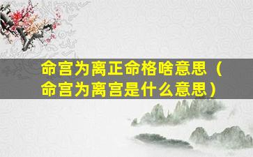 命宫为离正命格啥意思（命宫为离宫是什么意思）