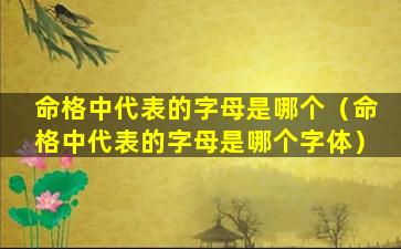 命格中代表的字母是哪个（命格中代表的字母是哪个字体）