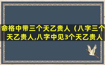 命格中带三个天乙贵人（八字三个天乙贵人,八字中见3个天乙贵人）