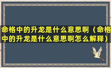 命格中的升龙是什么意思啊（命格中的升龙是什么意思啊怎么解释）