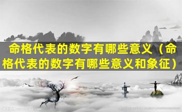 命格代表的数字有哪些意义（命格代表的数字有哪些意义和象征）