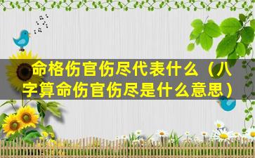 命格伤官伤尽代表什么（八字算命伤官伤尽是什么意思）