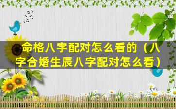 命格八字配对怎么看的（八字合婚生辰八字配对怎么看）