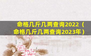 命格几斤几两查询2022（命格几斤几两查询2023年）