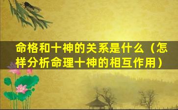 命格和十神的关系是什么（怎样分析命理十神的相互作用）