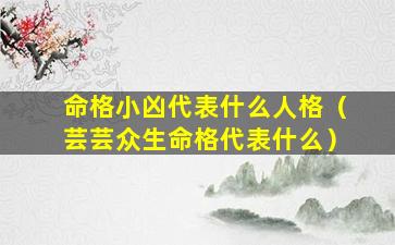 命格小凶代表什么人格（芸芸众生命格代表什么）