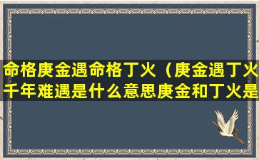 命格庚金遇命格丁火（庚金遇丁火千年难遇是什么意思庚金和丁火是什么）