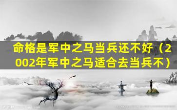 命格是军中之马当兵还不好（2002年军中之马适合去当兵不）