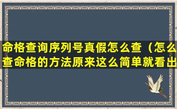 命格查询序列号真假怎么查（怎么查命格的方法原来这么简单就看出来了）