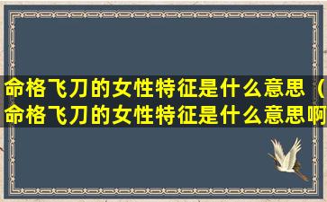 命格飞刀的女性特征是什么意思（命格飞刀的女性特征是什么意思啊）