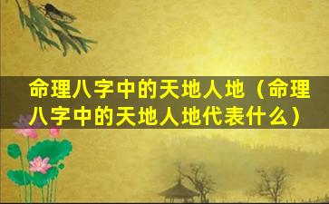 命理八字中的天地人地（命理八字中的天地人地代表什么）