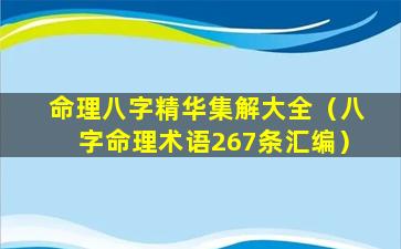 命理八字精华集解大全（八字命理术语267条汇编）