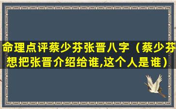 命理点评蔡少芬张晋八字（蔡少芬想把张晋介绍给谁,这个人是谁）