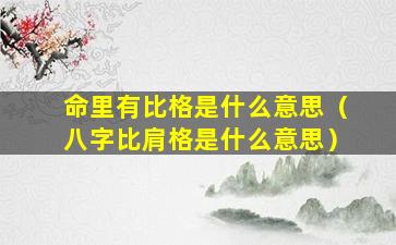 命里有比格是什么意思（八字比肩格是什么意思）