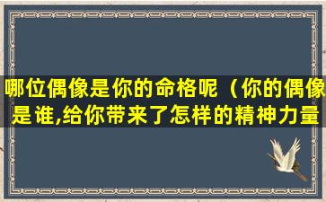 哪位偶像是你的命格呢（你的偶像是谁,给你带来了怎样的精神力量）