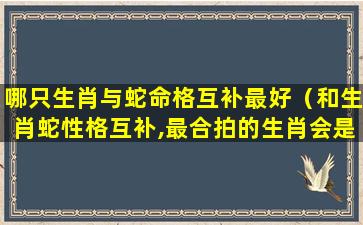 哪只生肖与蛇命格互补最好（和生肖蛇性格互补,最合拍的生肖会是谁呢）