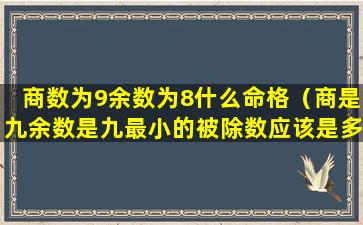 商数为9余数为8什么命格（商是九余数是九最小的被除数应该是多少）