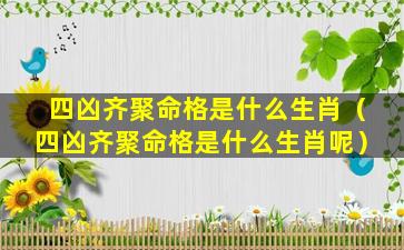 四凶齐聚命格是什么生肖（四凶齐聚命格是什么生肖呢）