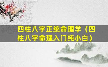 四柱八字正统命理学（四柱八字命理入门纯小白）