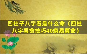 四柱子八字看是什么命（四柱八字看命技巧40条易算命）