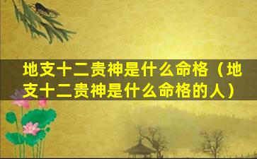 地支十二贵神是什么命格（地支十二贵神是什么命格的人）