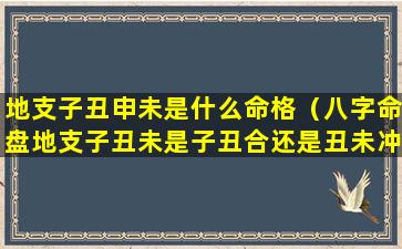 地支子丑申未是什么命格（八字命盘地支子丑未是子丑合还是丑未冲）