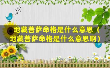 地藏菩萨命格是什么意思（地藏菩萨命格是什么意思啊）