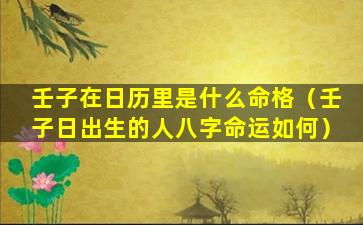 壬子在日历里是什么命格（壬子日出生的人八字命运如何）