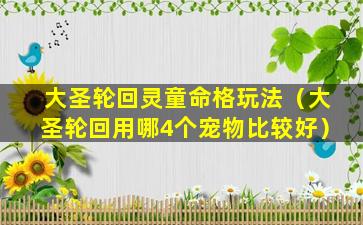 大圣轮回灵童命格玩法（大圣轮回用哪4个宠物比较好）