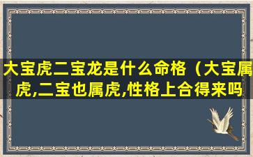 大宝虎二宝龙是什么命格（大宝属虎,二宝也属虎,性格上合得来吗）