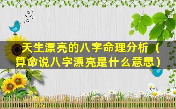 天生漂亮的八字命理分析（算命说八字漂亮是什么意思）