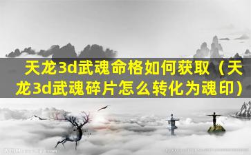 天龙3d武魂命格如何获取（天龙3d武魂碎片怎么转化为魂印）