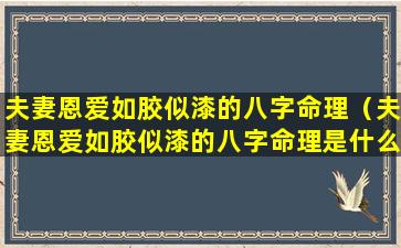 夫妻恩爱如胶似漆的八字命理（夫妻恩爱如胶似漆的八字命理是什么）