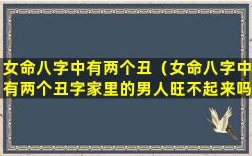 女命八字中有两个丑（女命八字中有两个丑字家里的男人旺不起来吗）