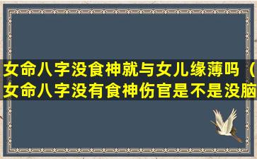 女命八字没食神就与女儿缘薄吗（女命八字没有食神伤官是不是没脑子）