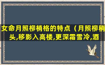 女命月照柳梢格的特点（月照柳稍头,移影入高楼,更深霜雪冷,酒尽客难留）