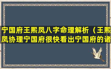 宁国府王熙凤八字命理解析（王熙凤协理宁国府很快看出宁国府的诸种弊端）