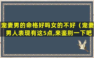 宠妻男的命格好吗女的不好（宠妻男人表现有这5点,来鉴别一下吧!）