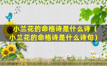 小兰花的命格诗是什么诗（小兰花的命格诗是什么诗句）