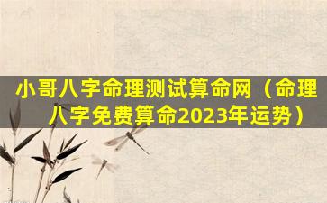 小哥八字命理测试算命网（命理八字免费算命2023年运势）