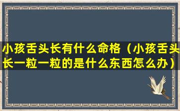 小孩舌头长有什么命格（小孩舌头长一粒一粒的是什么东西怎么办）