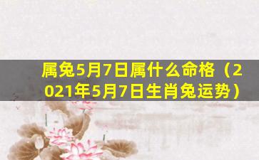 属兔5月7日属什么命格（2021年5月7日生肖兔运势）