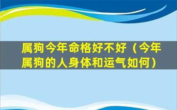 属狗今年命格好不好（今年属狗的人身体和运气如何）